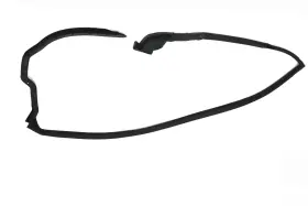 3861 Mtc Left Door Seal With
