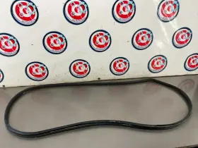76921cd000 Nissan 03-09 350z Coupe Right Door Frame Weatherstrip Oem 12bi3de 76921cd000 Nissan 03-09 350z Coupe Right Door Frame Weatherstrip Oem 12bi3de