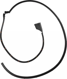 80831-ea00e Nissan Genuine Surround Weather-strip #3