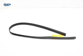 808381la2a Nissan Armada Front Right Passenger Side Door Lower Weatherstrip Seal Oem 17-24 #2