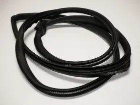 51767151384 Original Factory Genuine Front Right Side Door Jam Sealing Molding Trim Rubber Weatherstrip Oem Mini R56 #2