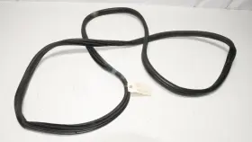 7305616 Original Factory Genuine Front Right Passenger Side Door Seal Molding Rubber Weatherstrip Trim Oe Bmw E70