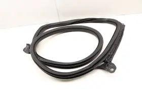 9j1833721a Porsche 2020-2023 Taycan - Rear Left Door Seal / Weather Stripping Inner #2