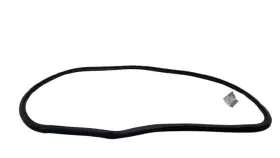 Pt00002365 Rivian 2022-2024 R1t Rear Driver Side Door Weather Strip Seal Left