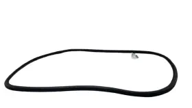 Pt00003697 Rivian 2022-2024 R1t Front Passenger Door Weather Strip Seal Right