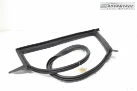 1090510-00-j Tesla 2017-2023 Model 3 Sedan Rear Right Body Doorway Weatherstrip Seal Oem