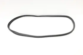 Tesla 149767597a 2020 - 2024 Model Y Rear Left Door Seal Rubber Weatherstrip Oem