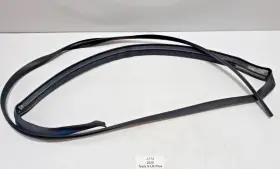 6009585-00-i Tesla 2012-2020 Oem Model S Rear Left Driver Door Weatherstrip Rubber Seal