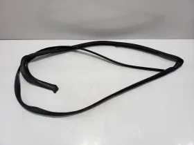 6009586-00-i Tesla 2012-2020 Oem Model S Rear Right Passenger Door Weatherstrip Rubber Seal #2