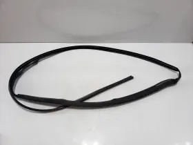 6009586-00-i Tesla 2012-2020 Oem Model S Rear Right Passenger Door Weatherstrip Rubber Seal #3