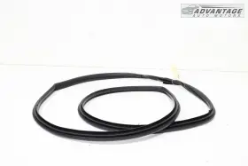 62311-02250 Toyota 2014-2019 Corolla Sedan Front Right Side Doorway Weatherstrip Seal Oem #2