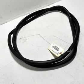 62312-06210 Toyota 2018-2024 Camry Front Left Driver Side Door Body Weatherstrip Seal Oem #3