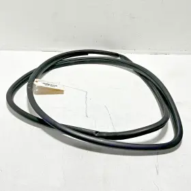 62312-06210 Toyota 2018-2024 Camry Front Left Driver Side Door Body Weatherstrip Seal Oem