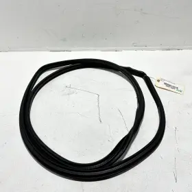 62331-06190 Toyota 2018-2024 Camry Rear Right Passenger Side Door Body Weatherstrip Seal Oem #2
