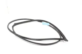 6786208020 Toyota Sienna Front Left Driver Side Door Weatherstrip Seal Oem 2011 - 2020 #3