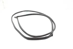 6786208020 Toyota Sienna Front Left Driver Side Door Weatherstrip Seal Oem 2011 - 2020