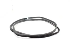 6787208030b1 Toyota Sienna Rear Left Driver Side Slide Door Weatherstrip Seal Oem 2015 - 2020