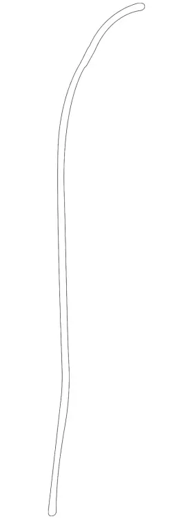 67895-0e060 Toyota Genuine Front Weather-strip