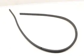 3c8839701b Volkswagen 2009-2017 Vw Cc - Rear Outer Door Seal / Weather Stripping #2
