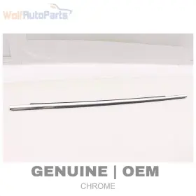 3d4837476j Volkswagen 2004-2006 Vw Phaeton - Front Right Outer Door / Window Slot Seal Trim
