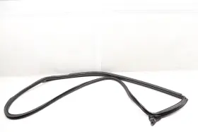 5c5867338l Volkswagen 2017-2019 Vw Beetle - Front Right Inner Door Seal / Weather Stripping #2