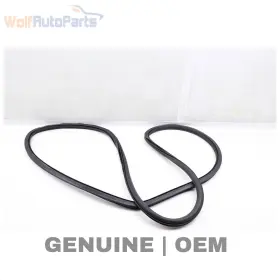 5nn867914a Volkswagen 2018-2024 Vw Tiguan - Rear Right Inner Door Seal / Weather Stripping 5nn867914a Volkswagen 2018-2024 Vw Tiguan - Rear Right Inner Door Seal / Weather Stripping