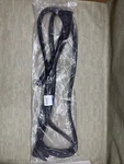 Mopar 68406318AI Weatherstrip, Rear Door, Right. Fixed Price $30.00.