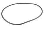 Genuine Gm Parts Canada 26410516 Door Seal. Fixed Price $61.68.