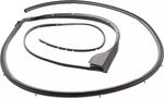 Genuine Nissan Surround Weather-strip 82831-ZS10C. Fixed Price $28.71.