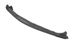 Genuine Gm Front Passenger Side Door Auxiliary Weatherstrip 39134622. Fixed Price $17.88.