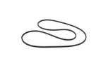 Genuine Oem Rear Hatch Seal For Bmw X3 11-17 51767301846. Fixed Price $143.40.