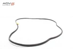 2015 - 2019 Bmw X6 F16 Rear Right Passenger Side Door Weatherstrip Seal Oem. Fixed Price $69.99.
