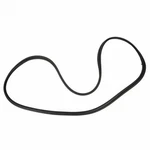 Genuine Ford Hatch Seal AM5Z-5843720-A. Fixed Price $79.95.