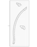 Genuine Toyota Door Seal 67888-0E050. Fixed Price $49.56.