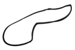 Oem New 2017-20 Gm Chevrolet Bolt Front Left Side Door Weatherstrip 42562283. Fixed Price $92.33.