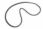 Genuine Gm Rear Passenger Side Door Weatherstrip 84234949. Fixed Price $64.77.