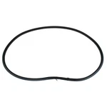 Genuine Ford Weatherstrip Assembly Door Openin GP5Z-5420708-A. Fixed Price $135.69.