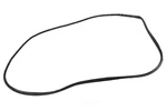 Genuine Gm Parts Canada 86597899 Door Seal. Fixed Price $56.97.