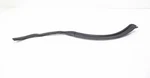Genuine Oe 2019-2025 Acura Rdx Rear Right Passenger Side Door Seal 72829-TJB-A01. Fixed Price $84.00.