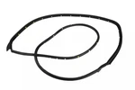 Genuine Gm Passenger Side Front Door Weatherstrip 23275375. Fixed Price $87.96.