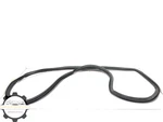 2017-2020 Lincoln Continental Left Driver Front Door Body Weatherstrip Seal Oem. Fixed Price $49.99.