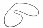Genuine Gm Rear Driver Side Door Weatherstrip 84228134. Fixed Price $49.31.