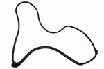 Genuine Gm Passenger Side Front Door Weatherstrip 19316882. Fixed Price $37.07.