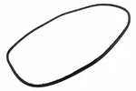 Genuine Gm Front Driver Side Door Weatherstrip 84576684. Fixed Price $118.62.