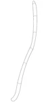 Genuine Gm Rear Weather-strip 25823639. Fixed Price $68.46.