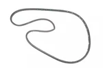 Genuine Gm Rear Driver Side Door Weatherstrip 84228134. Fixed Price $58.53.