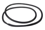 Genuine Gm Rear Side Door Weatherstrip 13463943. Fixed Price $46.57.
