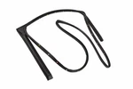 Genuine Gm Rear Passenger Side Door Weatherstrip 84234300. Fixed Price $65.66.
