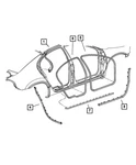 Genuine Mopar Front Door Opening Weatherstrip Left TE73WL5AH. Fixed Price $89.04.