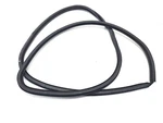 2014-2020 Lexus IS350 IS300 Front Right Side Door Inner Weatherstrip Seal Oem. Fixed Price $49.00.